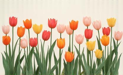 Spring Bloom Collection